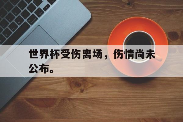 kaiyun体育app登录入口-世界杯受伤离场，伤情尚未公布。