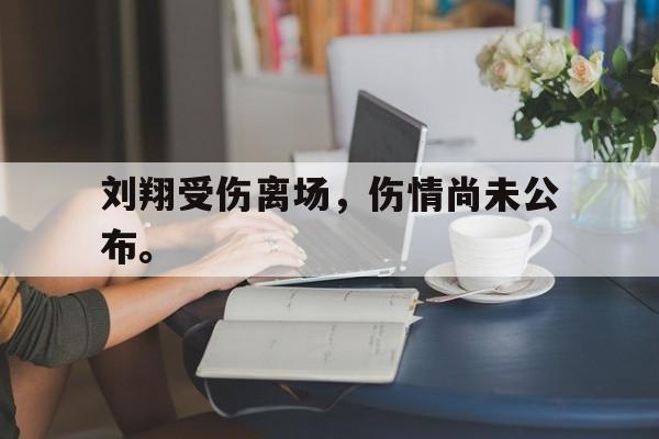 kaiyun体育app登录入口-刘翔受伤离场，伤情尚未公布。
