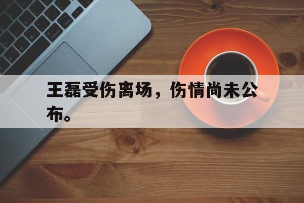 kaiyun官方体育app-王磊受伤离场，伤情尚未公布。