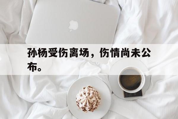 kaiyun官方体育app-孙杨受伤离场，伤情尚未公布。
